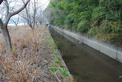 統合幹線用水路／川干時