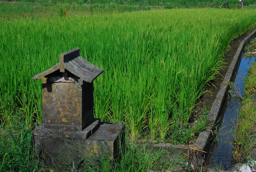 水田とほこら