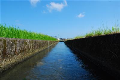 水路から見た青空