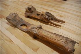 みつまたの胴木